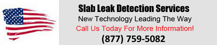 Free Leak Detection